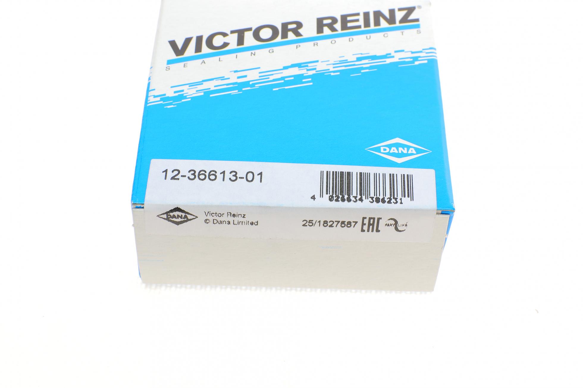 123661301 VICTOR REINZ